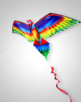 3D Parrot™