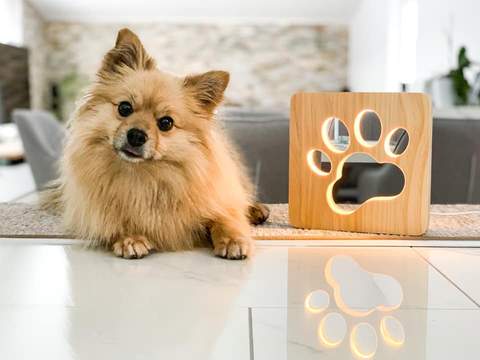 3D Wooden Animal Lamp