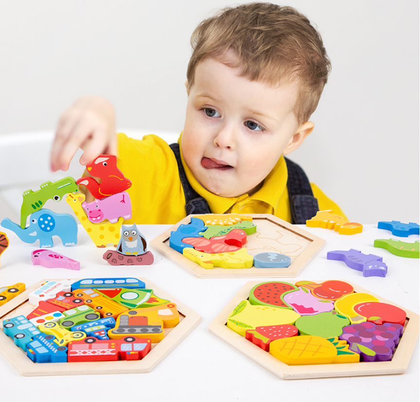 3D Wooden Puzzle Set - Discover Stapel Leer