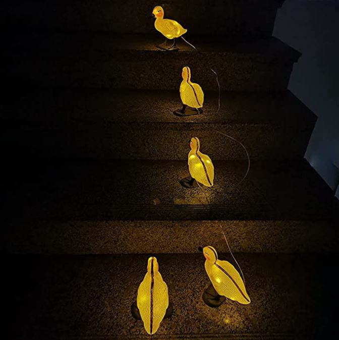 5 in 1 Solar Duck Light