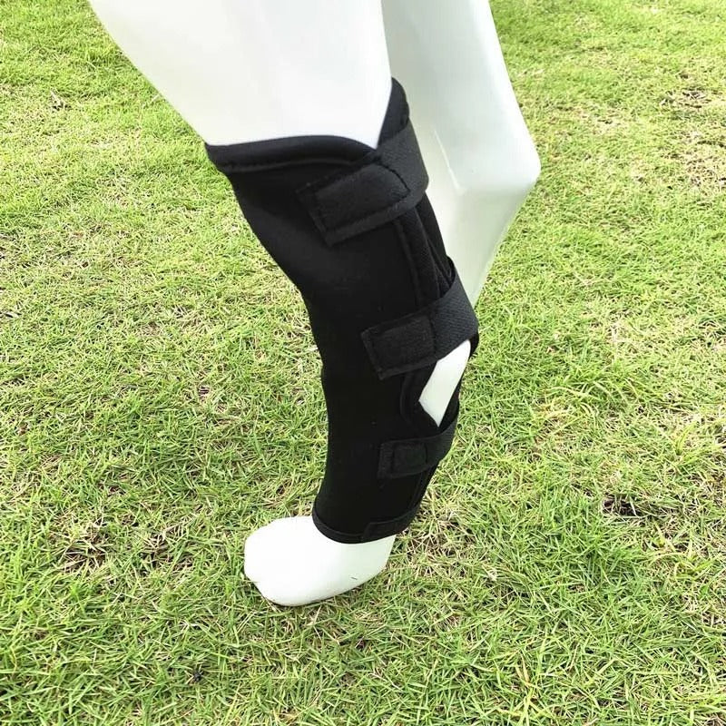 ActivePaw | Kniebrace voor Veilige en Pijnvrije Beweging