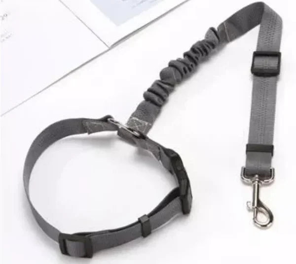 Adjustable Car Dog Lead