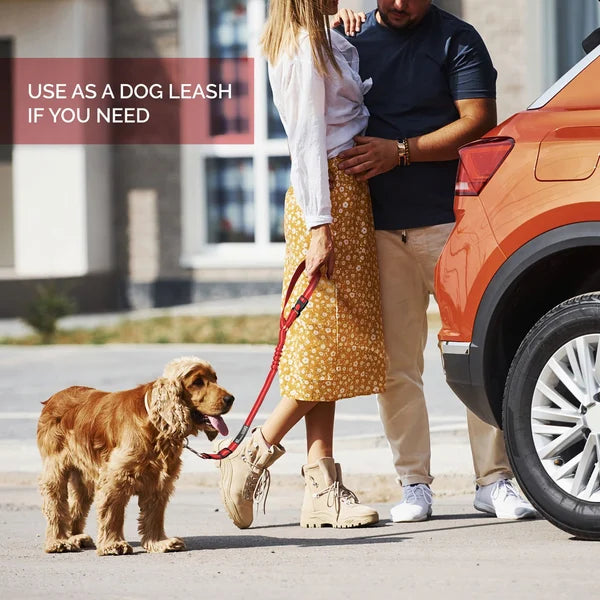 Adjustable Car Dog Lead