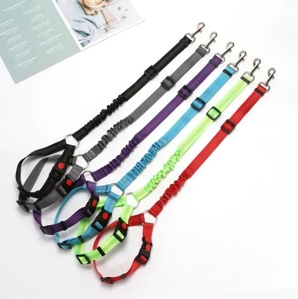 Adjustable Car Dog Lead