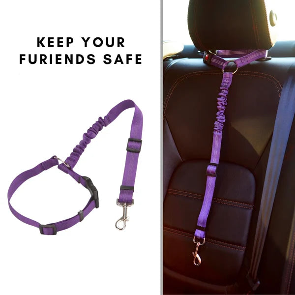 Adjustable Car Dog Lead