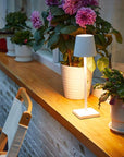 Alexa LED Lamp | Waterproof Minimalist Table Lamp
