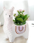 Alpaca Succulent Pots