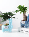 Alpaca Succulent Pots