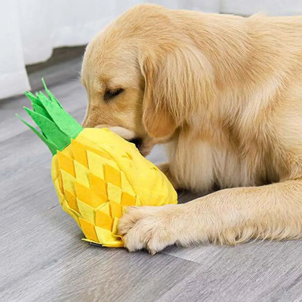 AnanasBoo | Hiding and Playing Treats