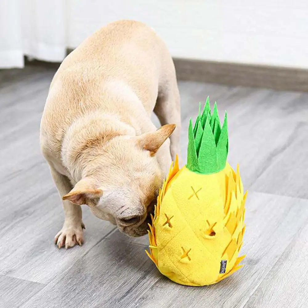 AnanasBoo | Hiding and Playing Treats