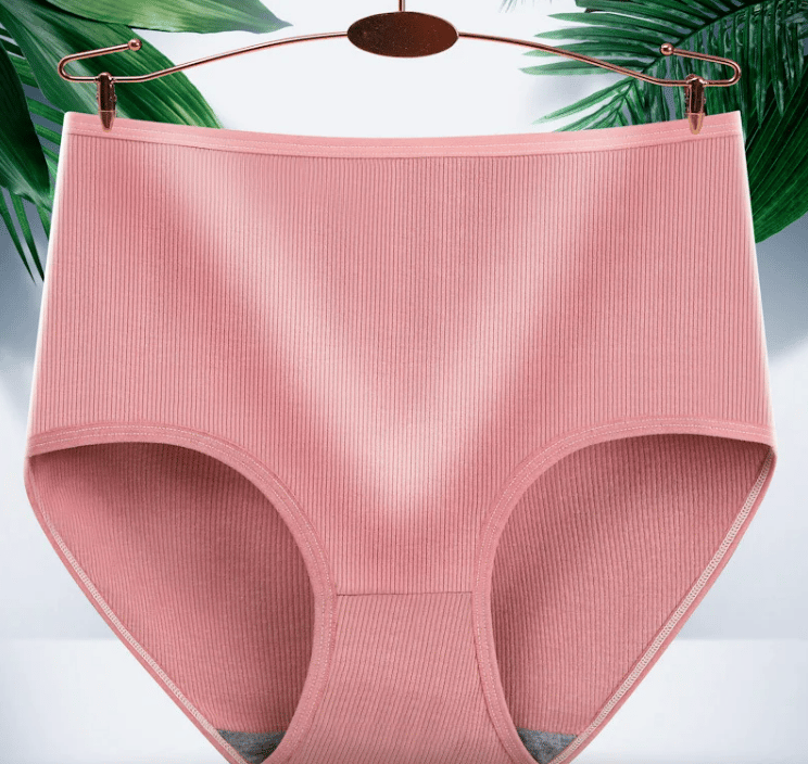Antibacterial Absorbent Underwear