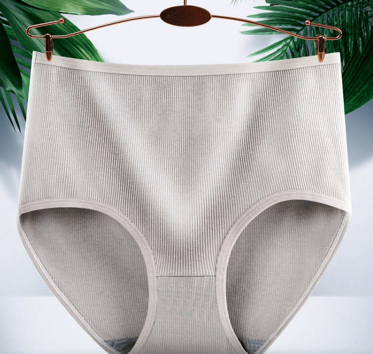 Antibacterial Absorbent Underwear