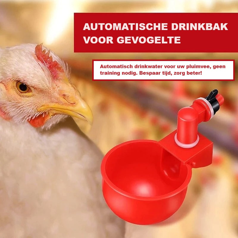 AquaHen | Always Fresh for Your Chickens