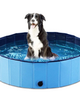 AquaPETS - Sturdy and Compact Dog Pool