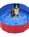 AquaPETS - Sturdy and Compact Dog Pool