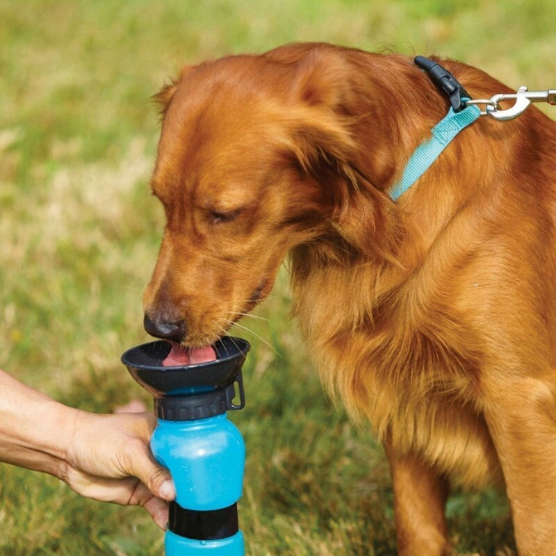 AquaPup | Water Bottle for Pets