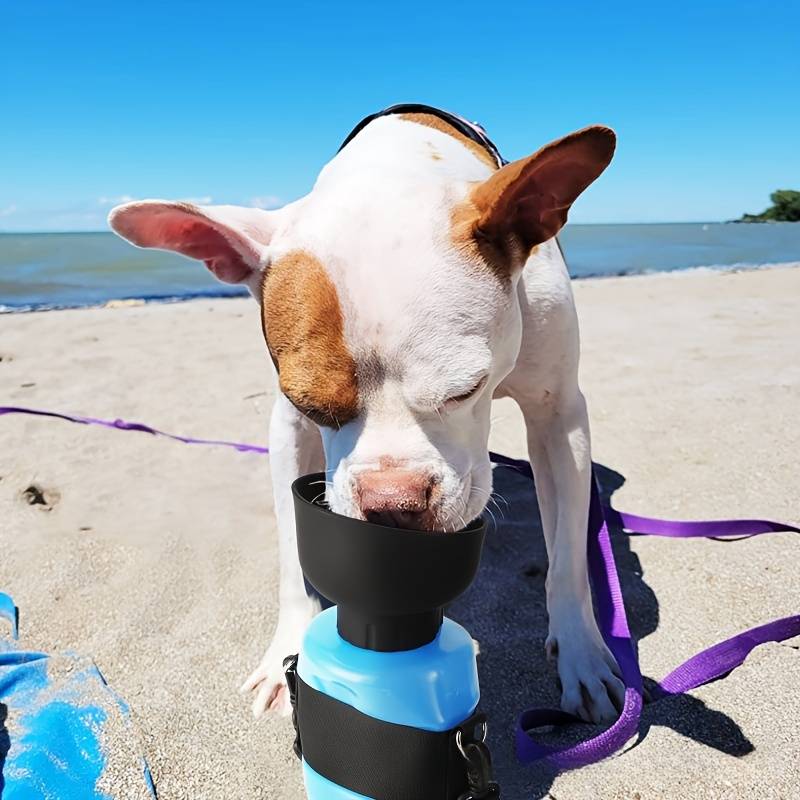 AquaPup | Water Bottle for Pets