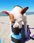 AquaPup | Water Bottle for Pets