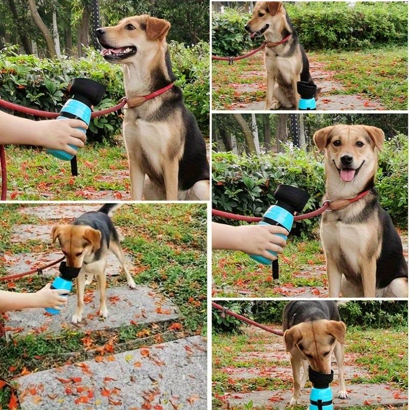 AquaPup | Water Bottle for Pets