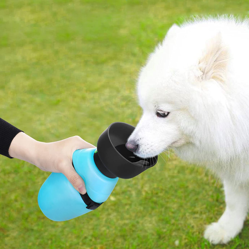 AquaPup | Water Bottle for Pets