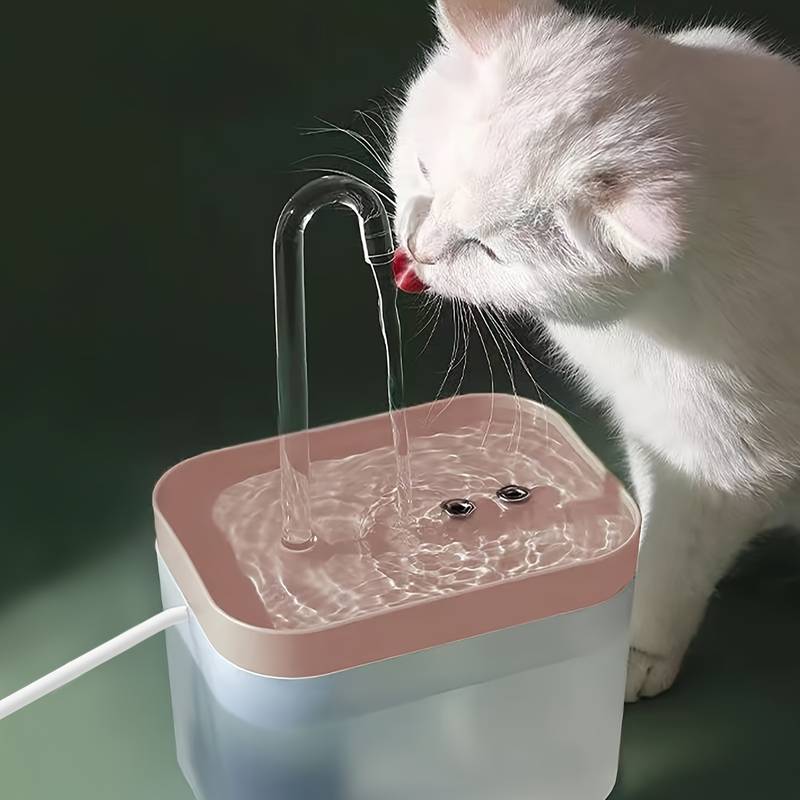 AquaWhisk | The Ultimate Hydration