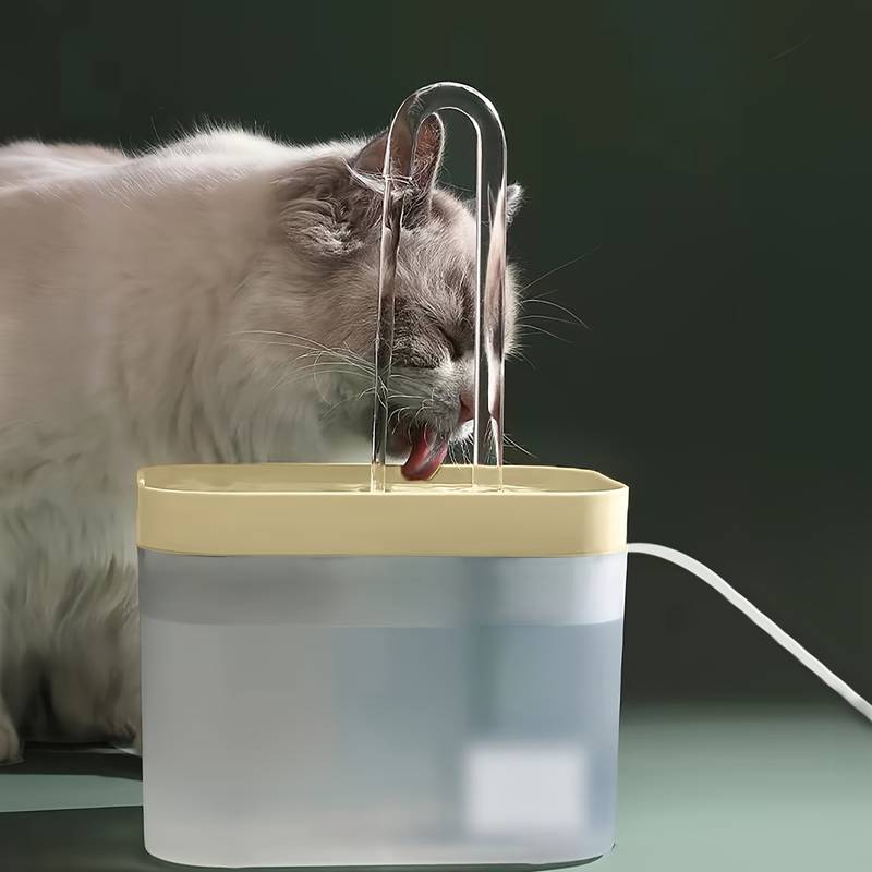 AquaWhisk | The Ultimate Hydration