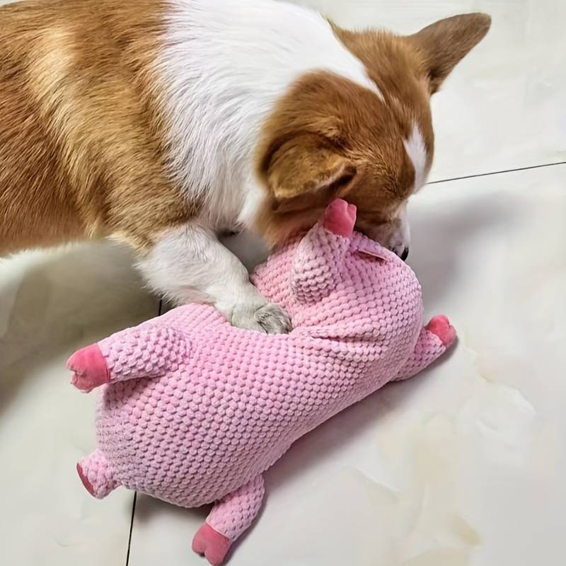 BarkBoo | Strengthens Dental Health