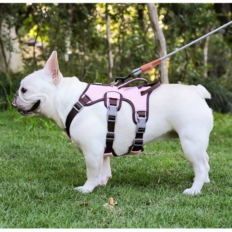 BarkVest | Anti-Trek Dog Harness with Reflective Features