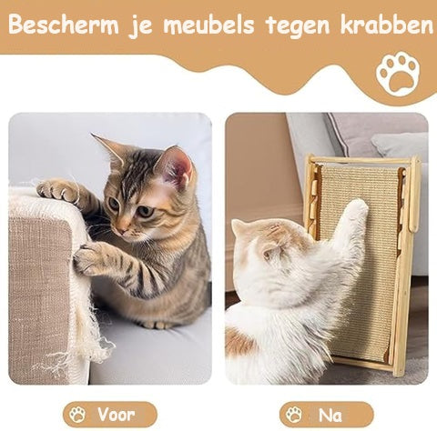 BeachPaw | Luxe Cat Scratching Furniture that Protects Your Furniture