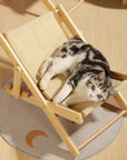 BeachPaw | Luxe Cat Scratching Furniture that Protects Your Furniture