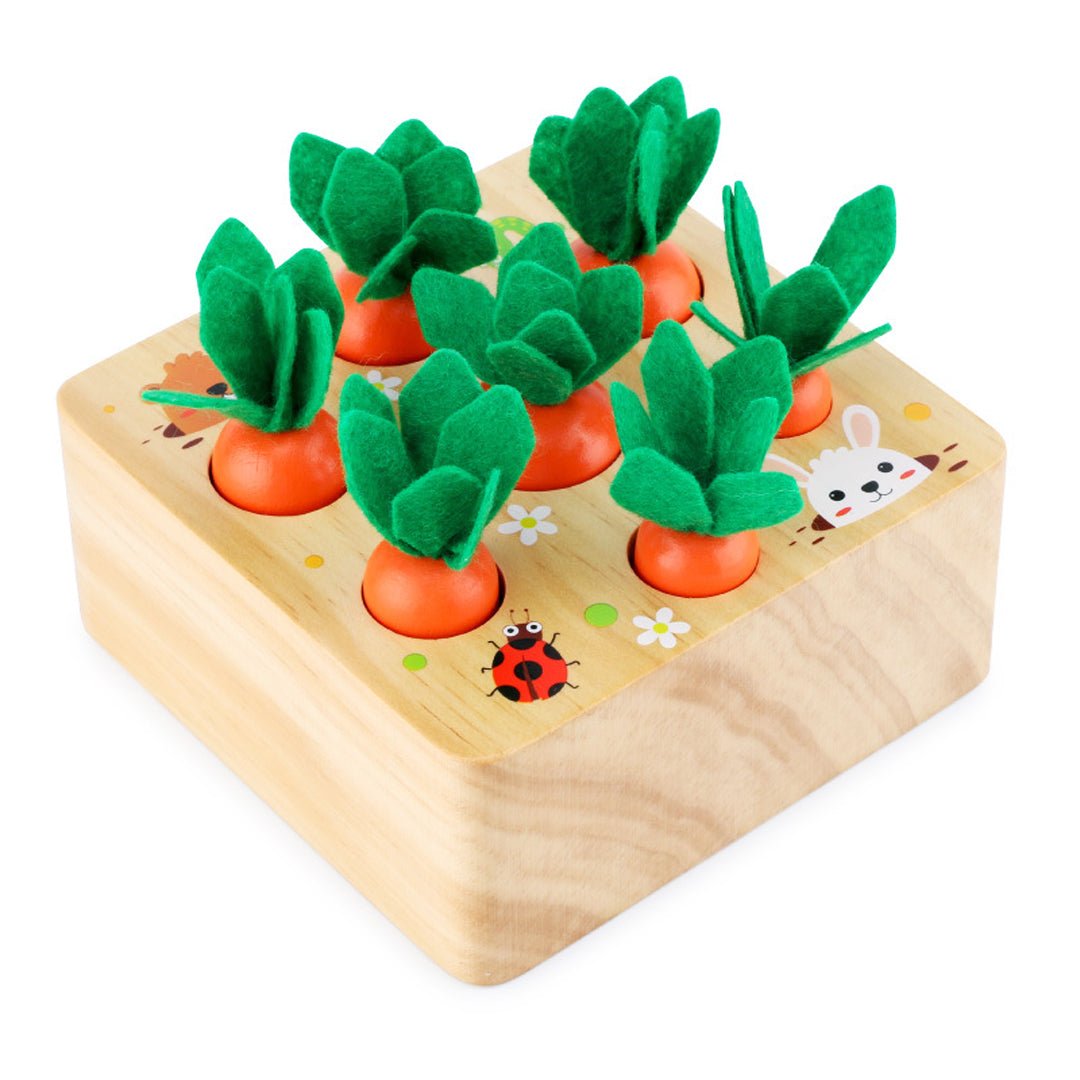 Best Seller: Carrots Harvest Box