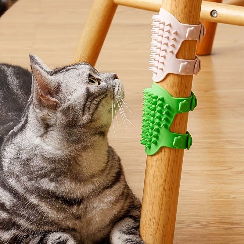 BlissPaw | A soft indulgence for your cat