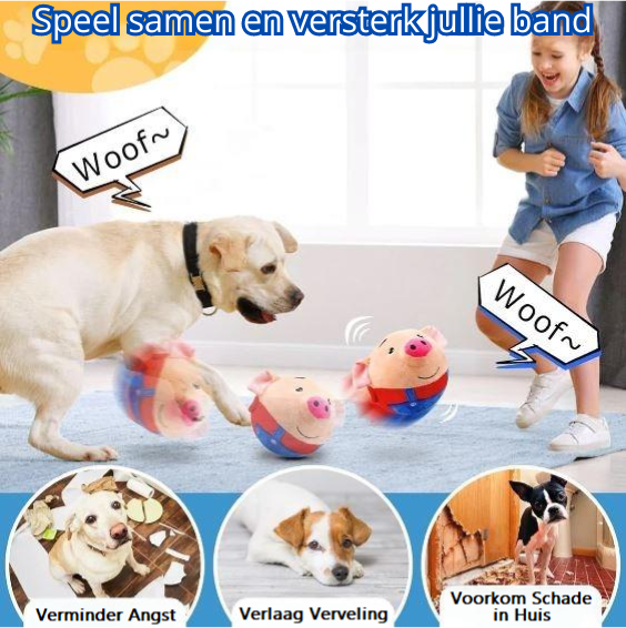 BouncePup | Stop Boredom and Protect Your Furniture