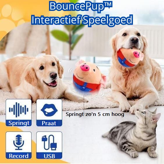 BouncePup | Stop Boredom and Protect Your Furniture