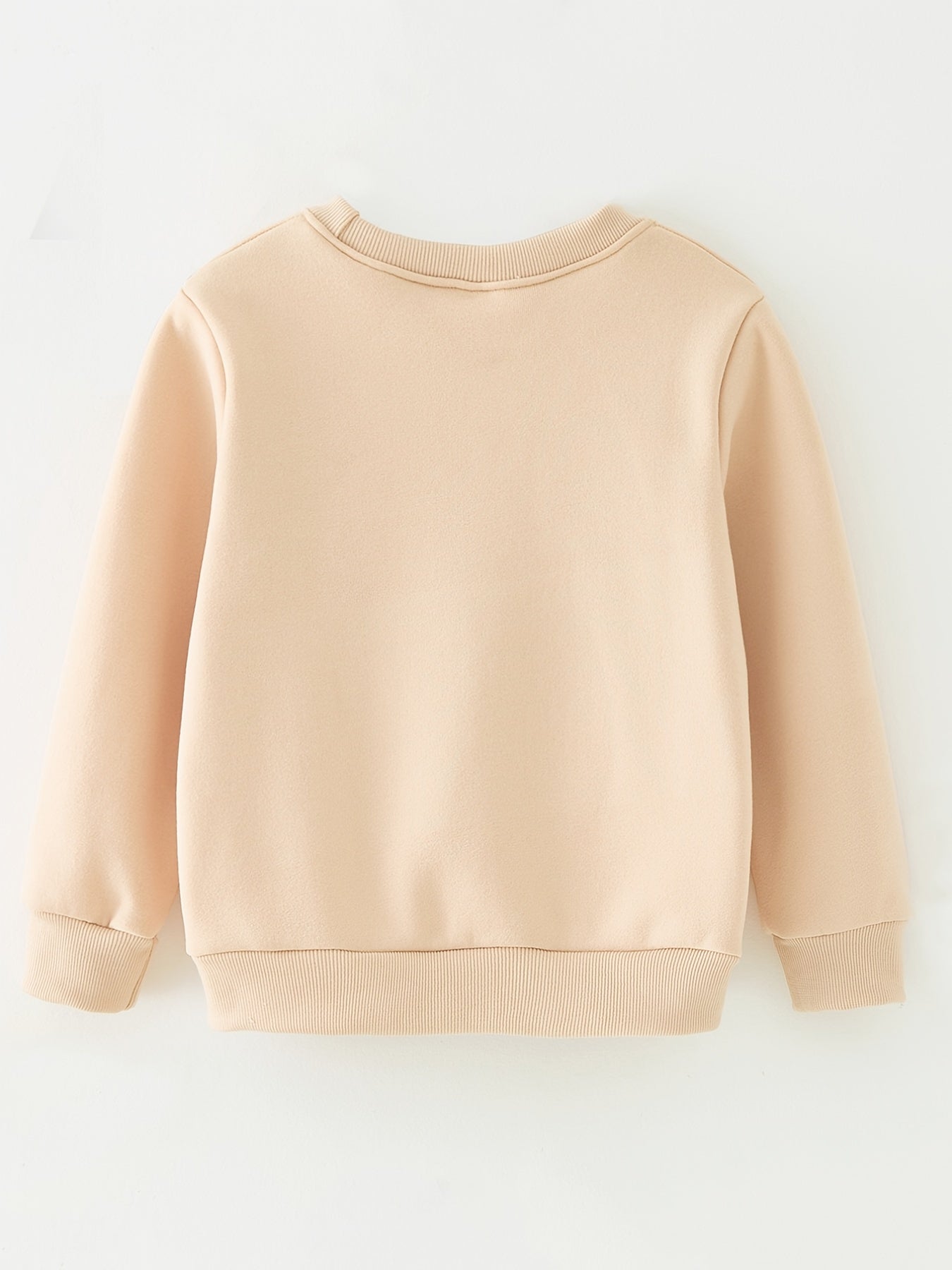 Boys' Casual Sweater with Long Sleeves and Graphic Pattern, Round Neck - Leandro