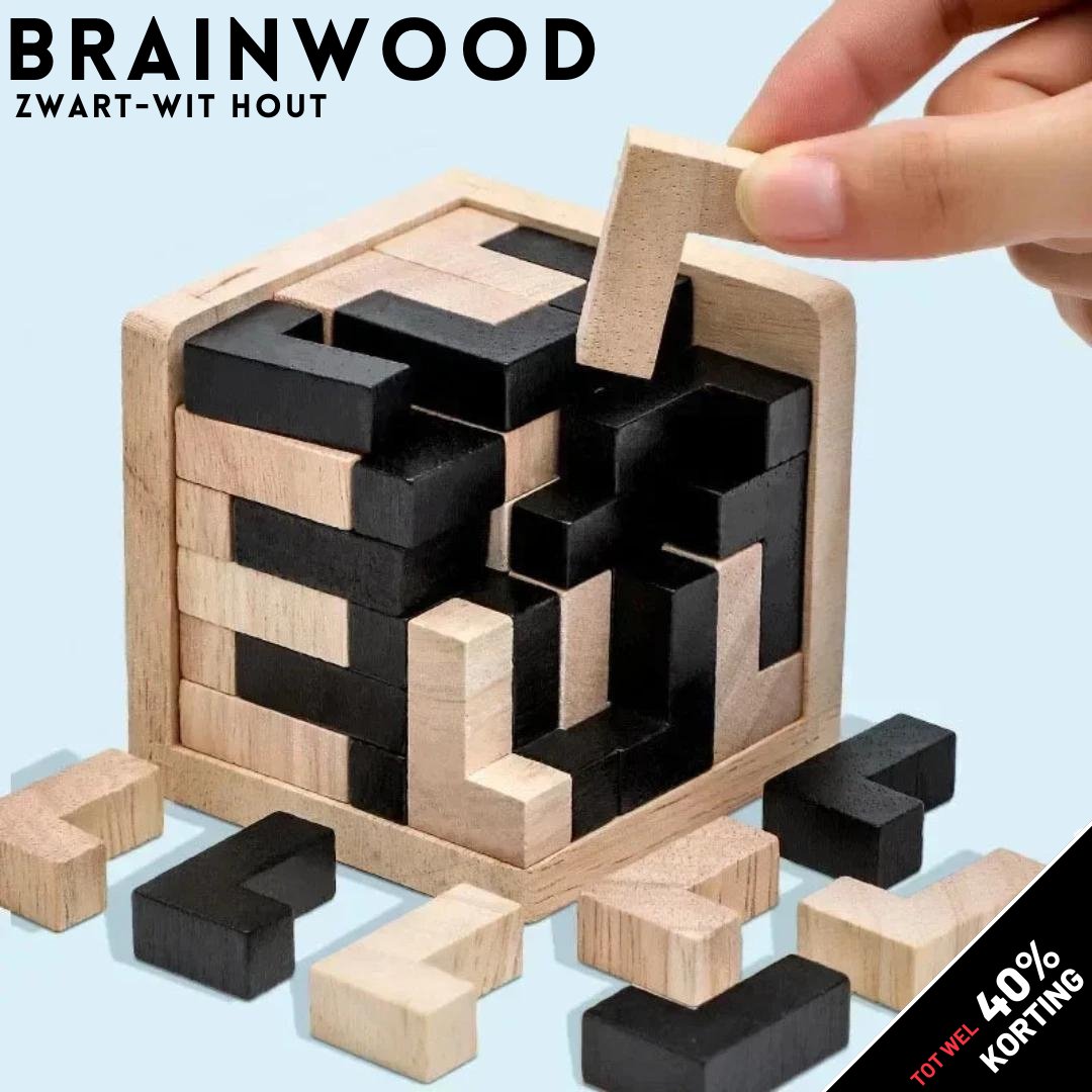 BrainWood - Wooden Balance Game