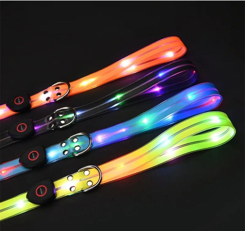 BrightPaw | Illuminate Every Step Together