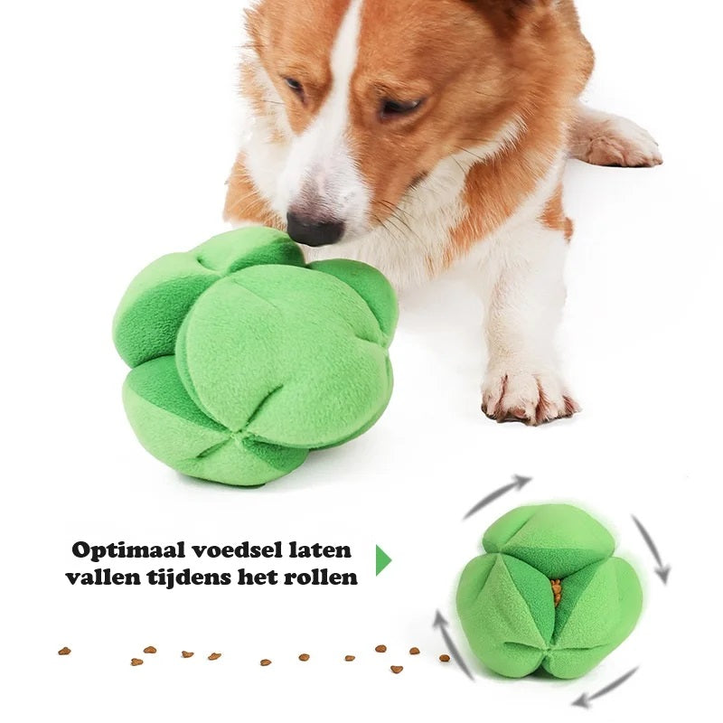 BrocBite | Eat slowly, play longer!