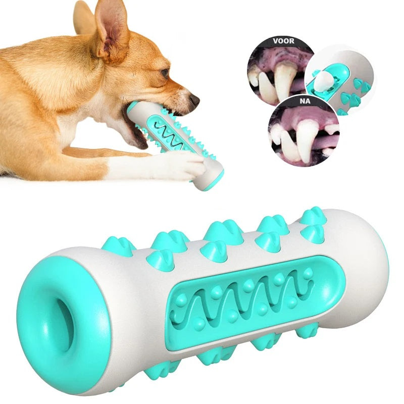 BrushBuddy | Healthy Teeth for Your Dog