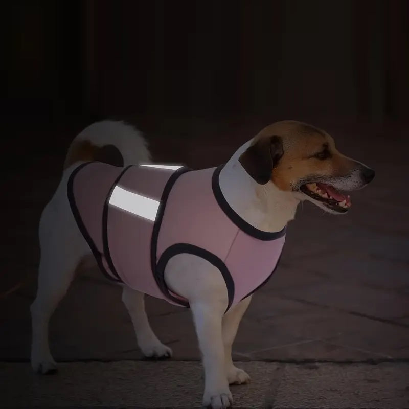 CalmPet | Calming vest for anxiety and stress