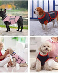 CalmPet | Calming vest for anxiety and stress