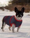 CalmPet | Calming vest for anxiety and stress