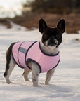 CalmPet | Calming vest for anxiety and stress