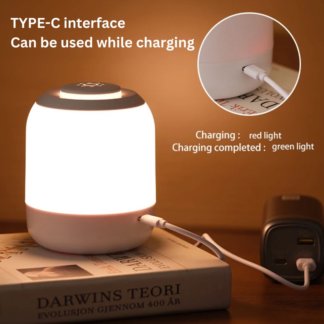 Camille Portable Desk Lamp