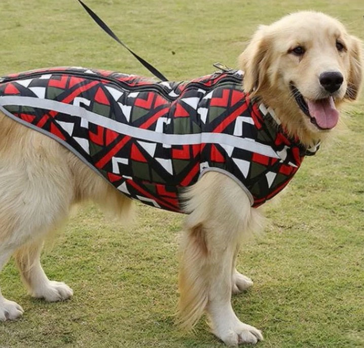 Canix | No more wet or smelly fur