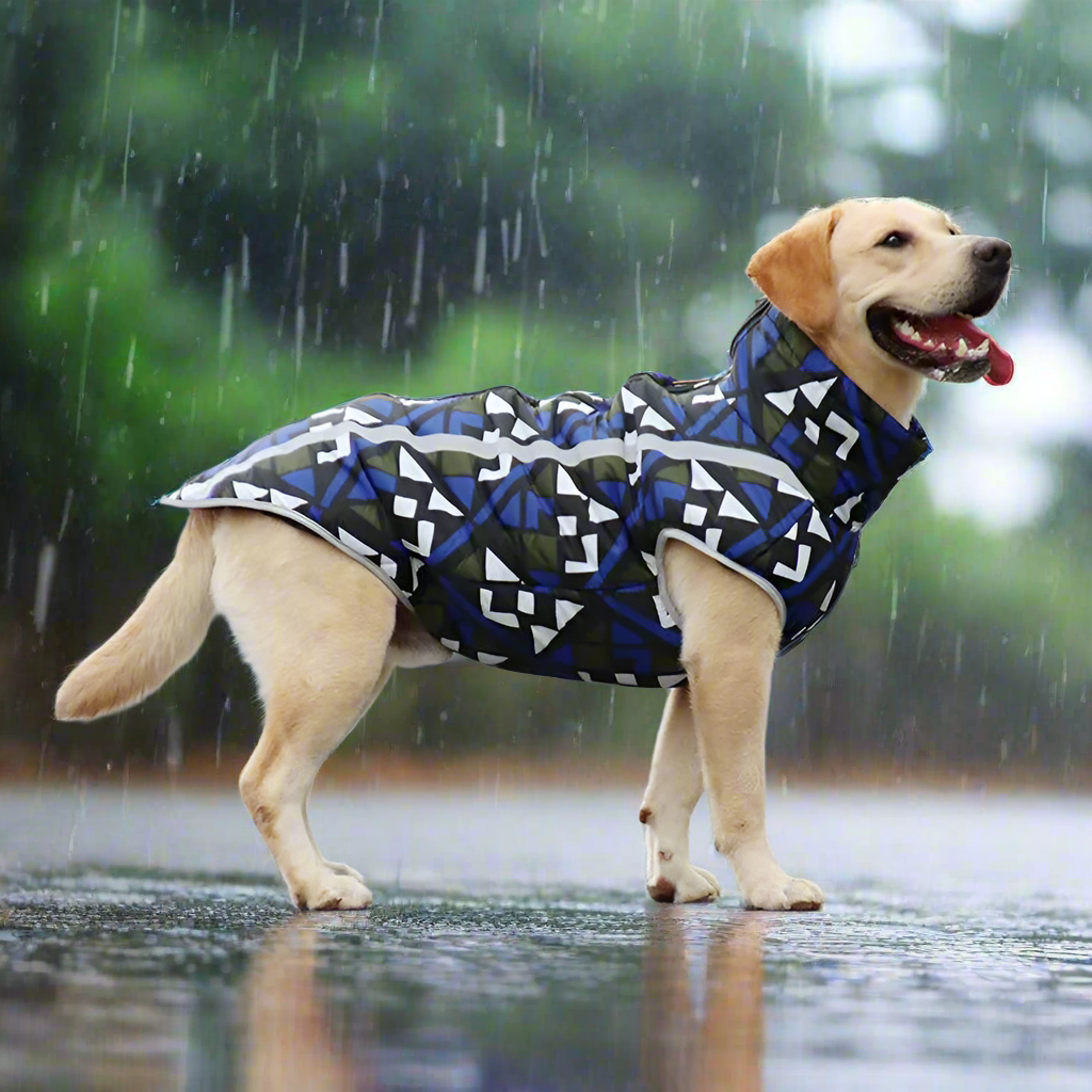 Canix | No more wet or smelly fur