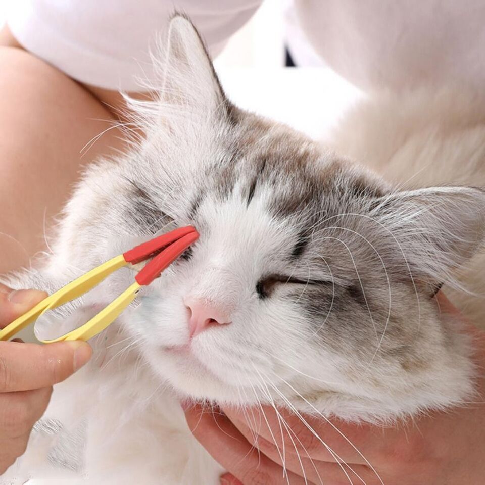 CareFur | For Stress-Free Grooming