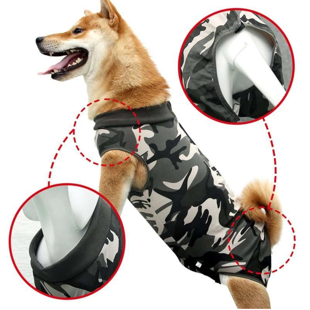 CareVest | Safe recovery without licking or scratching