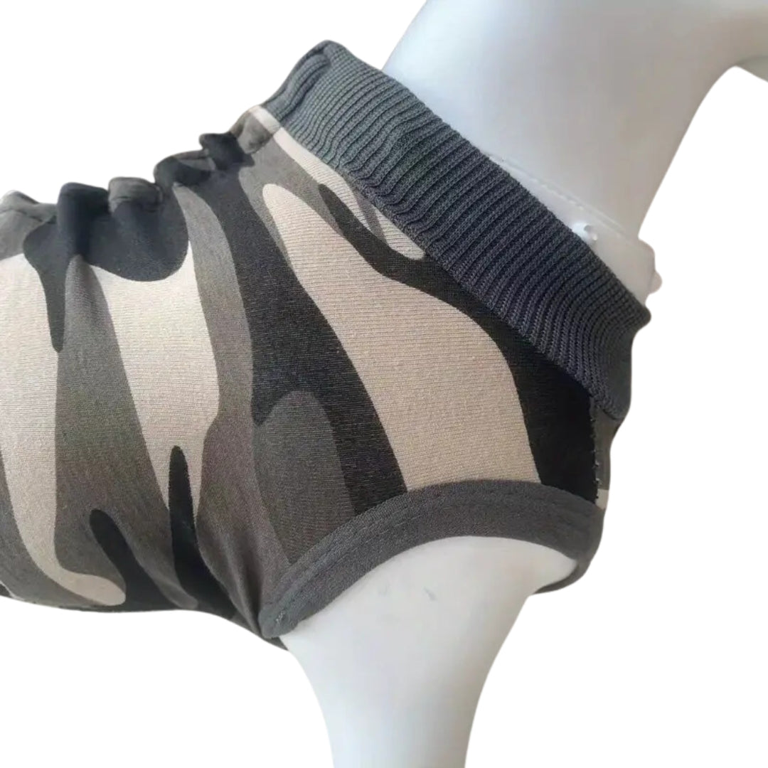 CareVest | Safe recovery without licking or scratching