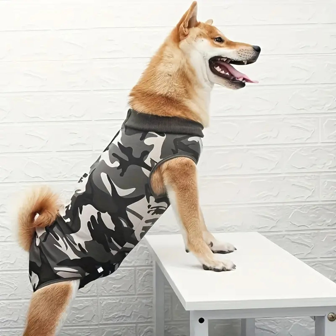 CareVest | Safe recovery without licking or scratching